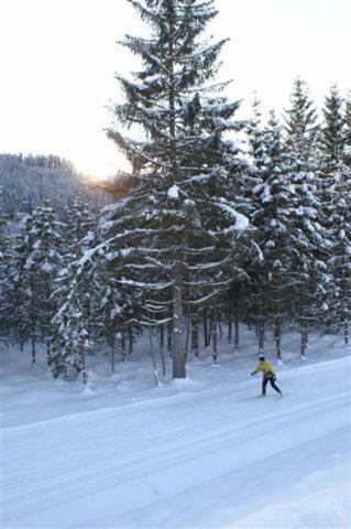 Appartement Vidmar-Ferienglueck Arriach Esterno foto